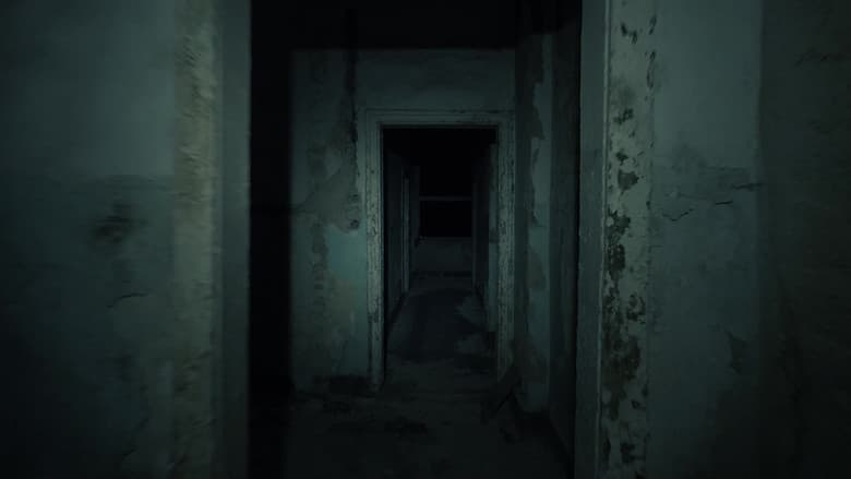 Spirits in the Dark