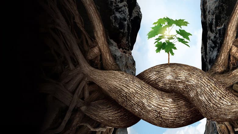 Intelligent Trees