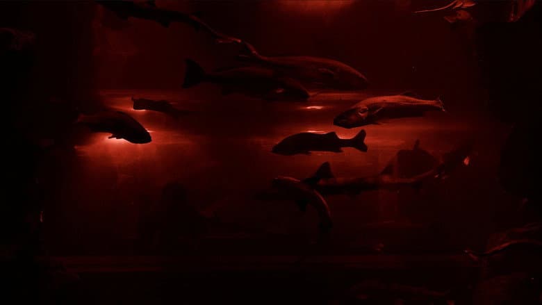 Red Wave