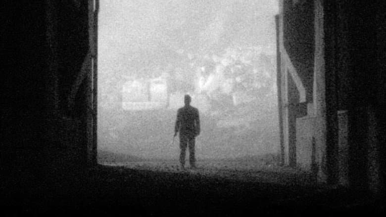 Paths in the Night