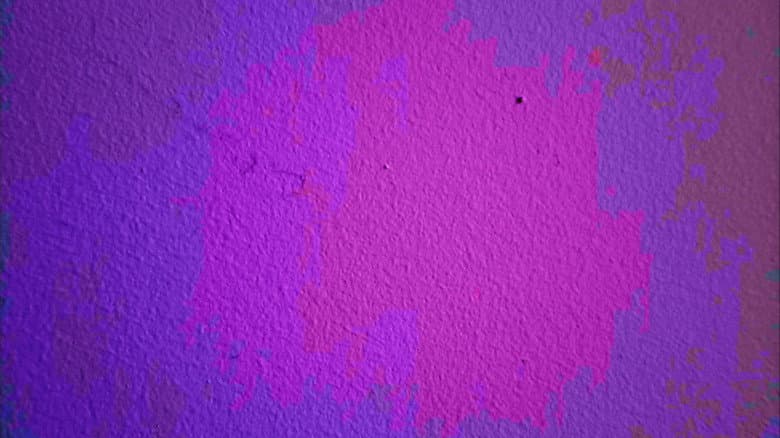 a tiny bug crawls across a wall