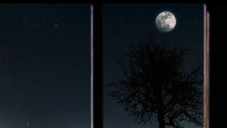 Moon Town