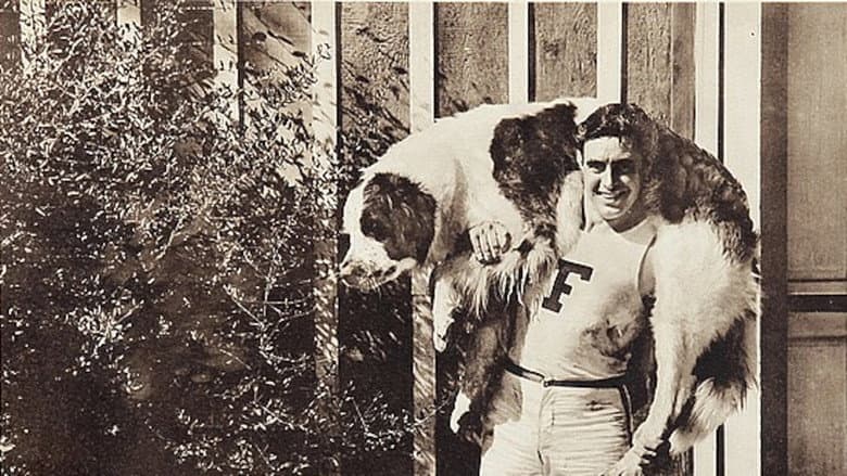 Help! Help! Police!